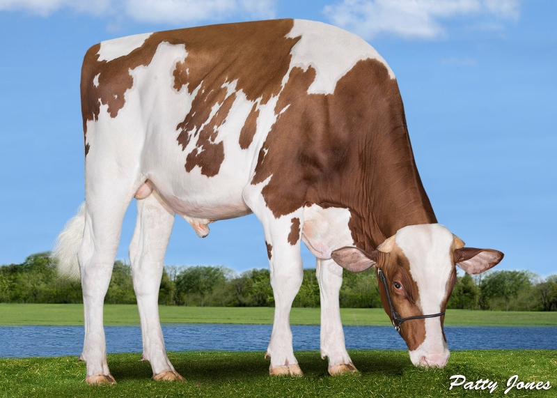 RIVERDOWN UNSTOPABULL