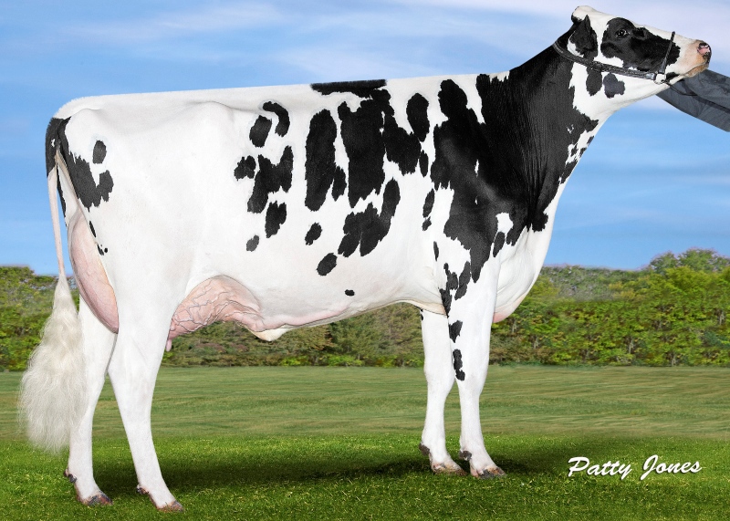 3rd DAM: PROGENESIS EXACTLY BEST EX-91-2E 3*