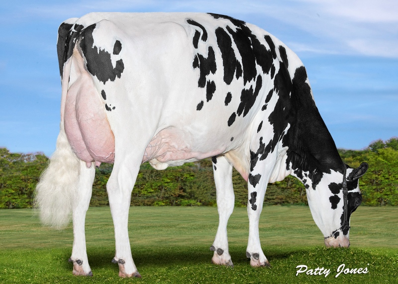 3rd DAM: PROGENESIS EXACTLY BEST EX-91-2E 3*