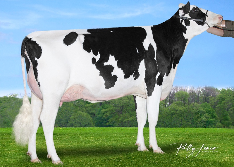 2nd DAM: CLAYNOOK CLINIQUE OUTLAST VG-86 5*