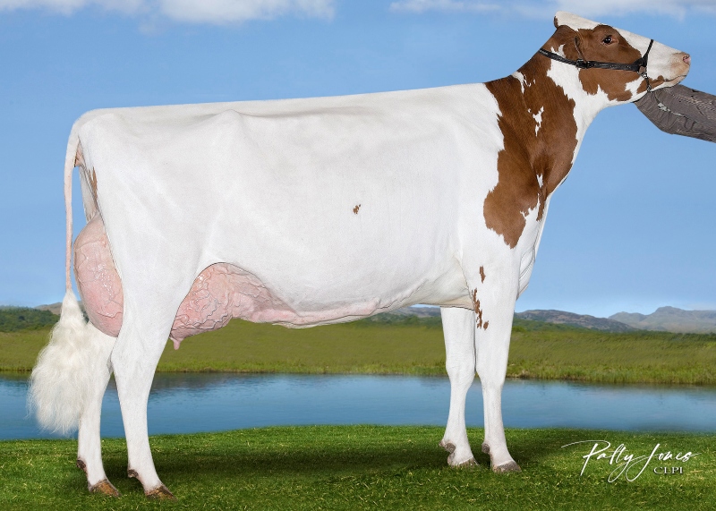 3rd DAM: FREALAND LOYOLA SERENDIPITY-P EX-2E 1*