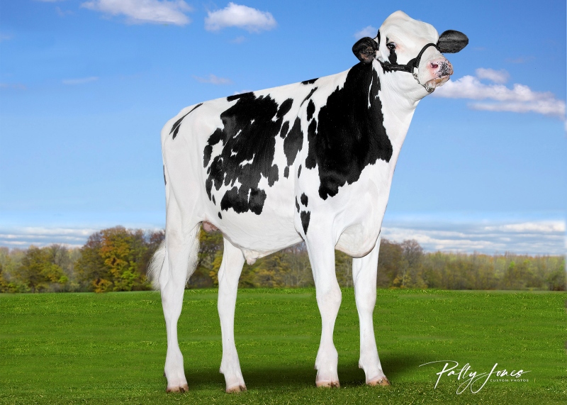 FRAHOLME VEC TRITON-PP