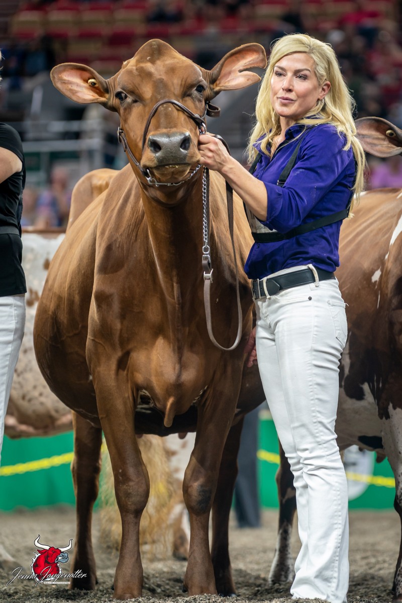 DAM: BRICKER-FARMS KING CINDERELLA EX-92