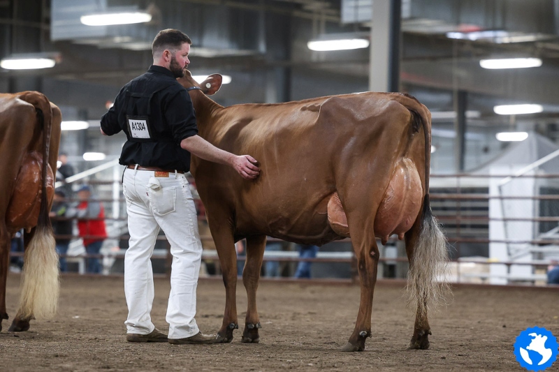 BUDJON-VAIL AUTOGRAPH KIMBERLY