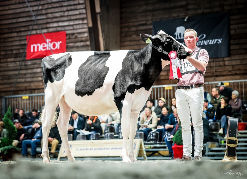BÜRKLI-HOLST SALUTE SALUTA