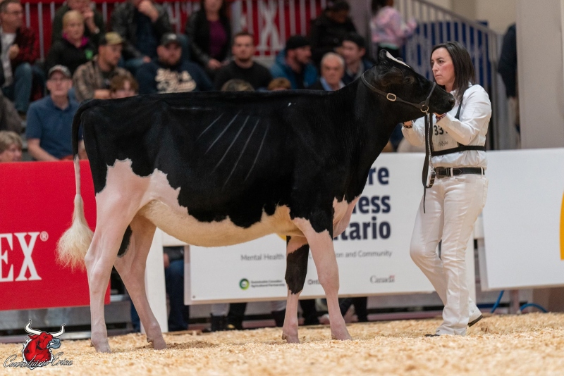 CURR-VALE-A E DIRECT EPIC