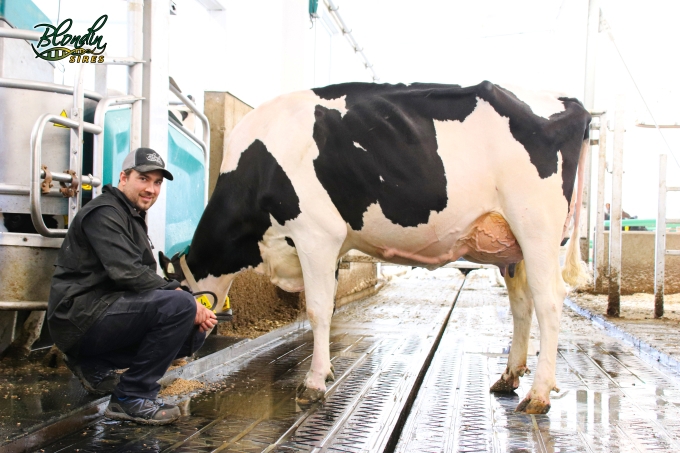 DAM: LEOTHE LAMBDA DEFI EX-94-2E 6*