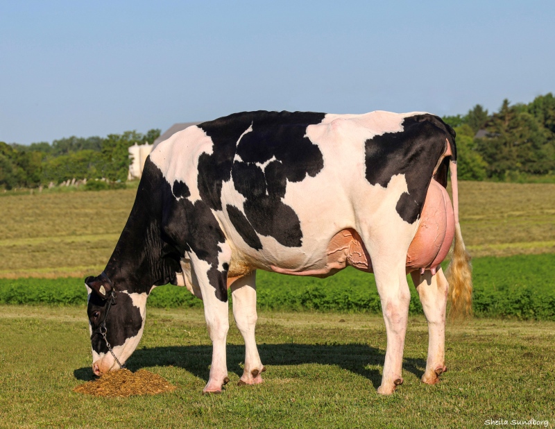 DAM: DREWHOLME LAMBDA LEYSURE P EX-92 5*