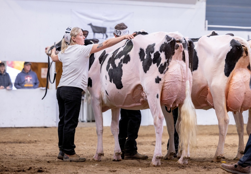 FAMIPAGE AVENGER MUSCADE VG-89-3YR
