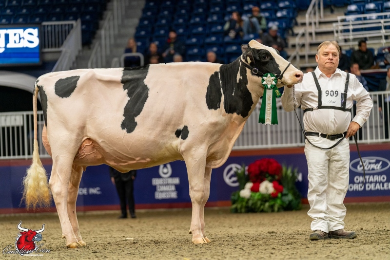 FAMIPAGE DETECTIVE JALAPENO NC