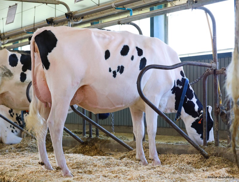 FLEURY DESTINATION MADELEINE VG-86-2YR