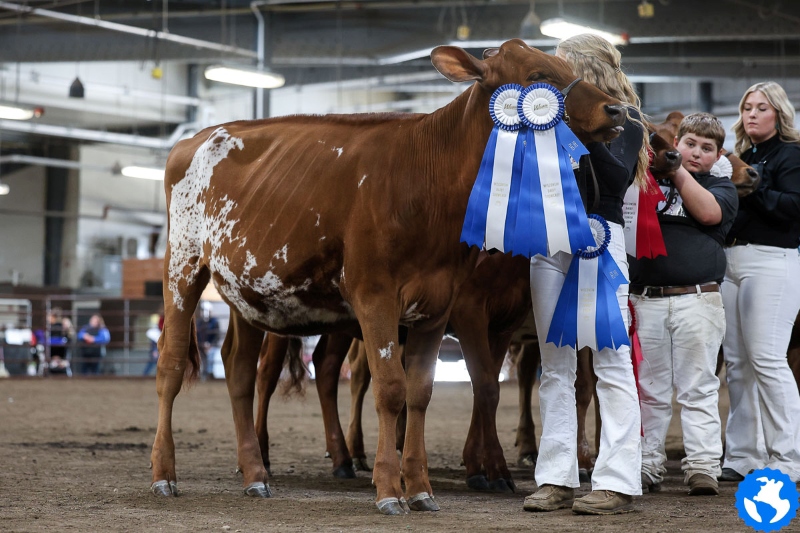 GENVERSE AUTOGRAPH MOTLEY CRUE