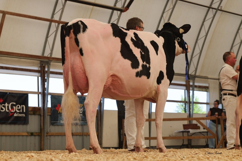 GLEANN DIRECT QUOTE VG-86-2YR