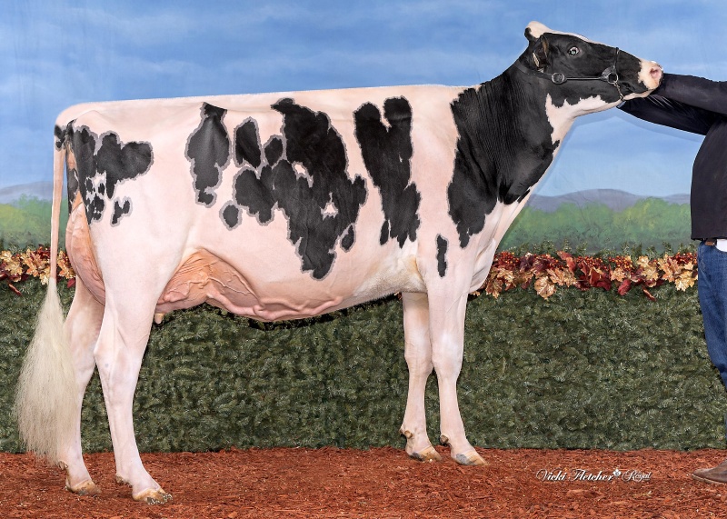 GLEANN MASTER RESERVE VG-87-2YR