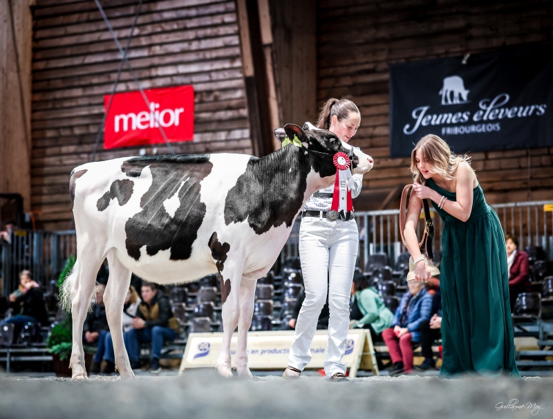 GRAND-BOIS REVELATION OLYMOUR