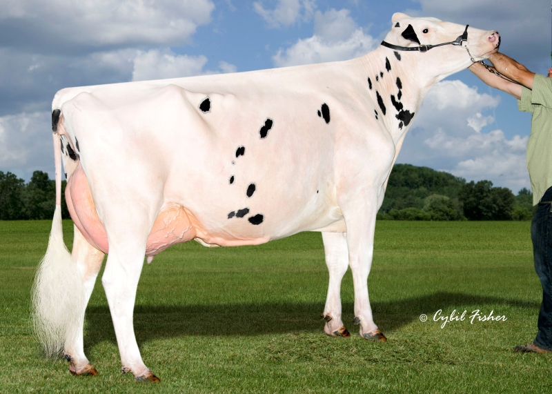 4th DAM: QUIET-BROOK-D BABYBOOK EX-94-6E