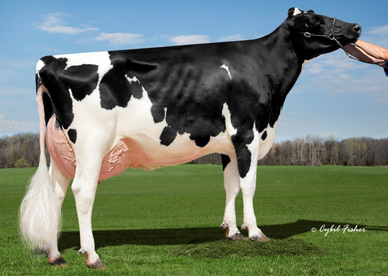 3rd DAM: KINGS-RANSOM DELTA DESTINY EX-92-4YR