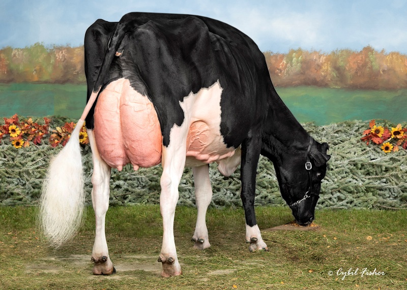 DAM: S-S-I DOC HAVE NOT 8784 EX-96-5YR
