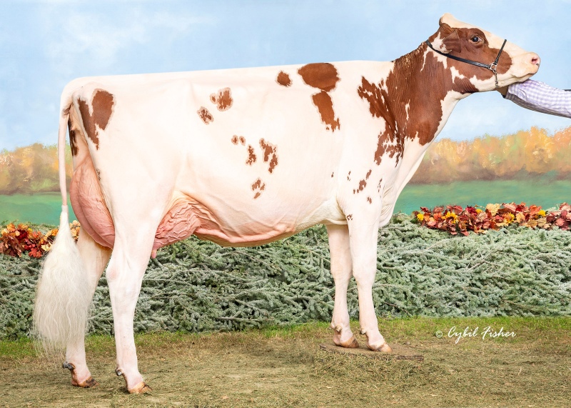 MER-JAMES UNSTOPABULL AVA-RED