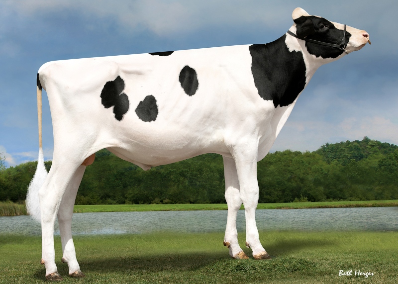 BLONDIN THUNDER STORM