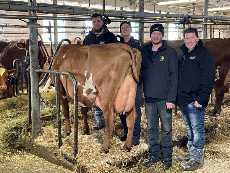 DAM: MARDEL CHELYOTTE SARALIE EX-91-3E