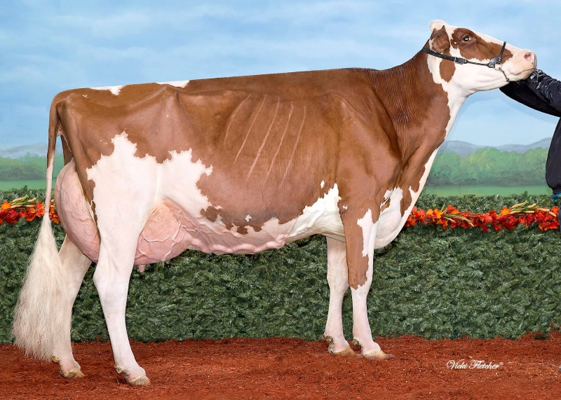2nd DAM: KAWARTHA ARMANI MEMORY EX-92