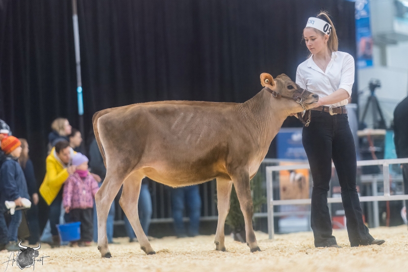 LAHETRIERE GHOST SIMONE
