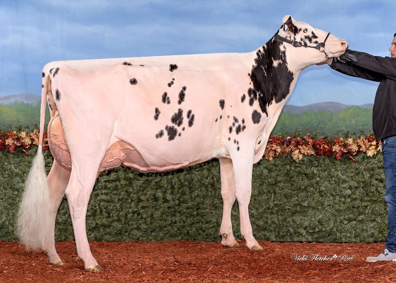 MILK&HONEY IM A SEXY BABY VG-87-2YR