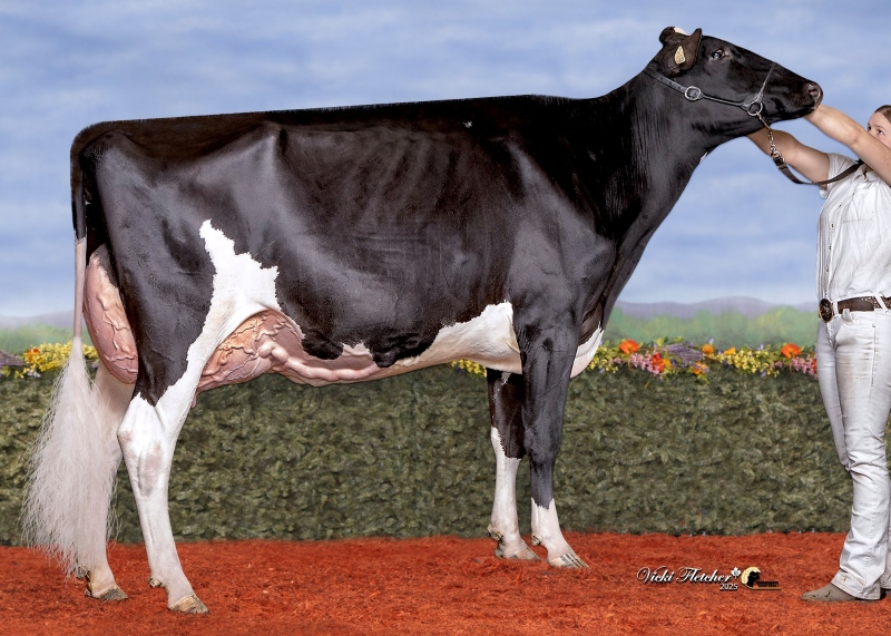 MOSNANG RESPECT DANGER ZONE VG-89-3YR