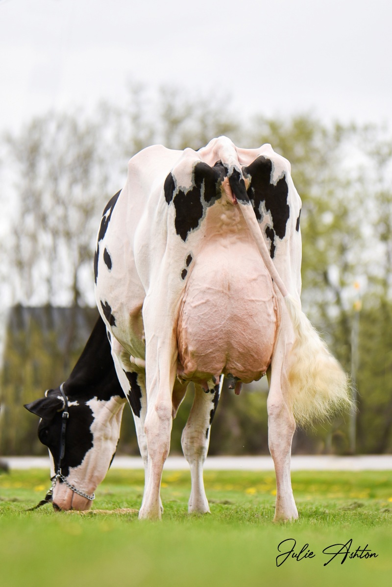 2nd DAM: OCD DELTA MISSY 4212 EX-94-2E