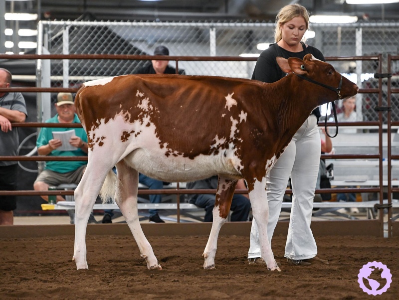 OCEAN-VIEW HEAVENLY IN-RED
