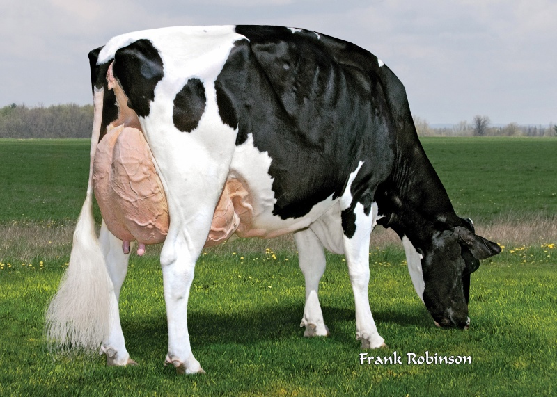 5th DAM: DINOMI OFFROAD RYLEY EX-94-2E