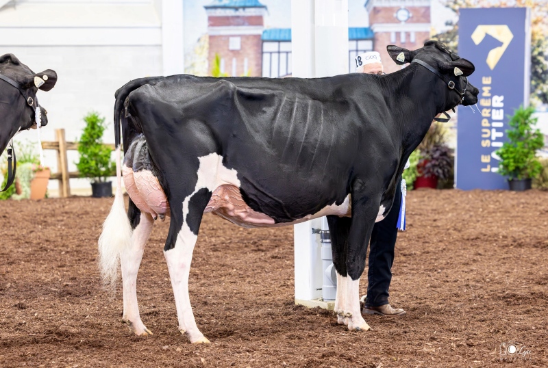 OMBRE DU CLOCHER RADINE VG-89-2YR