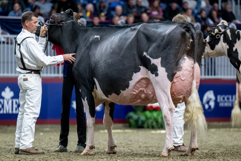 DAM: EIXDALE PWRUP ALONGSIDE EX-92-4YR