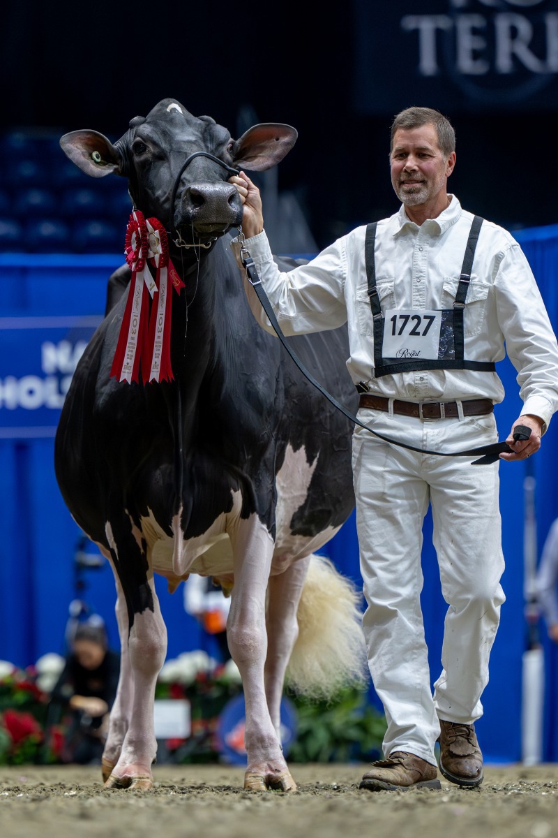 DAM: EIXDALE PWRUP ALONGSIDE EX-92-4YR