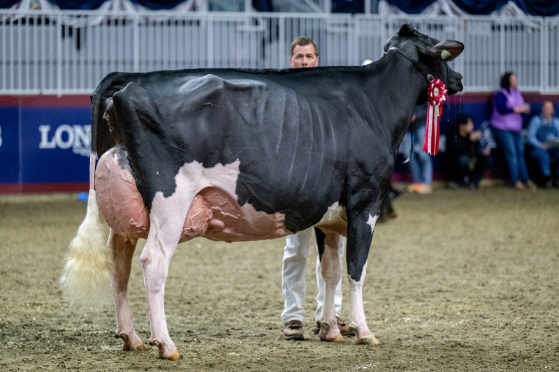 DAM: EIXDALE PWRUP ALONGSIDE EX-92-4YR