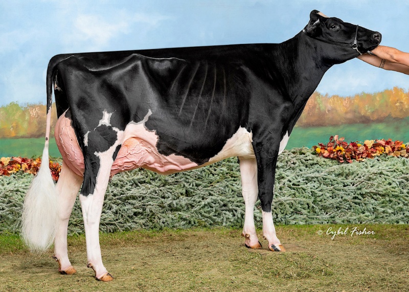 PREMIERPOINT MAS CARMONA EX-92