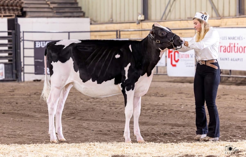 RAYPIEN MAJOR GRACIOUS