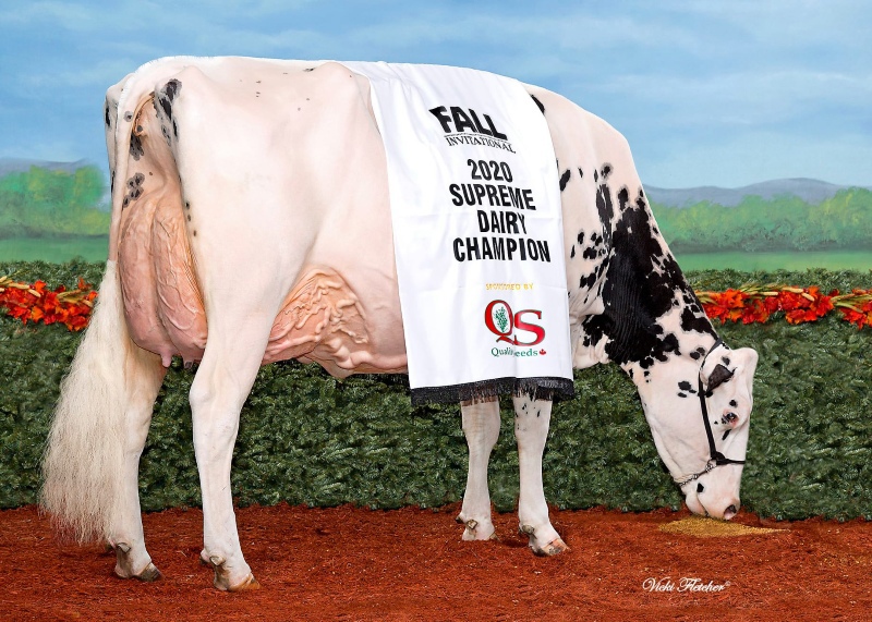DAM: ERBACRES SNAPPLE SHAKIRA EX-97-4E 8*