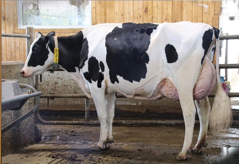 DAM: SUNNYPOINT 2533 ELOISE DLAM EX-94-2E