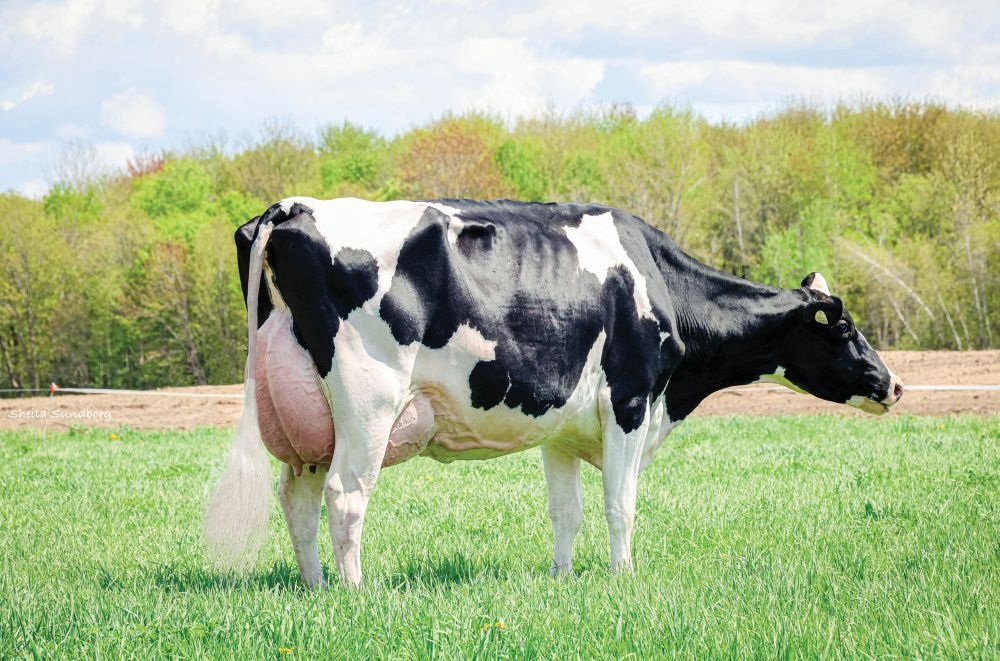 DAM: WISSELVIEW LAMDA DELIGHT EX 3*