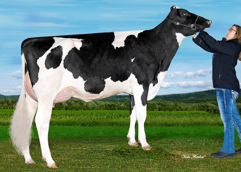 3rd DAM: BLONDIN HOTLINE CAPRI EX-5YR 3*