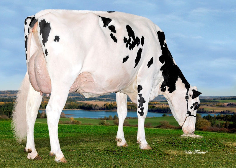 DAM: FLEURY SALVATORE ECLAIR EX 9*