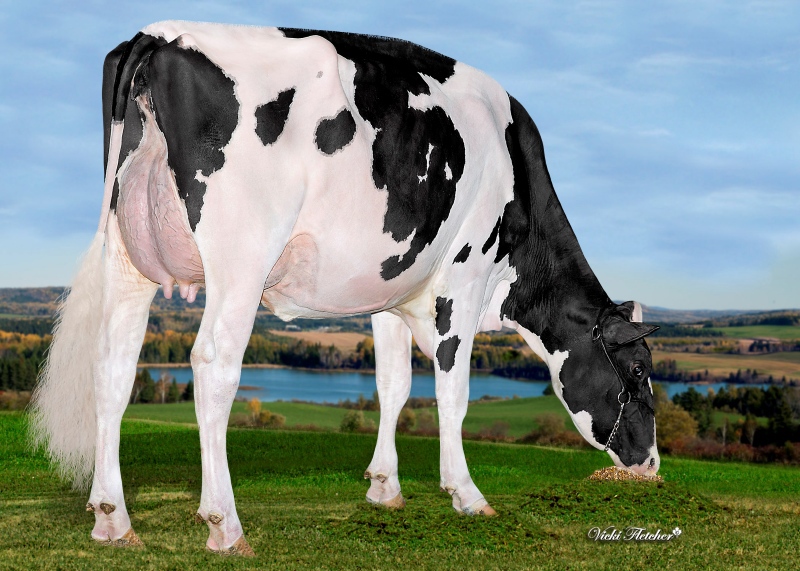 DAM: SWEETVIEW CRUSHABULL GROUCH EX-91-2E