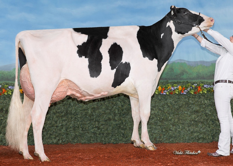LARELEVE SIDEKICK 772 VG-89-3YR 2*