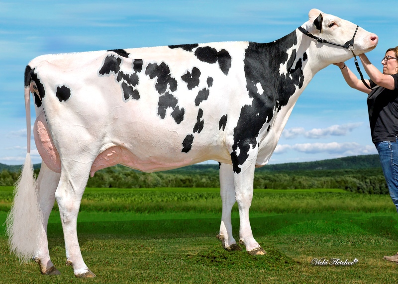 DAM: KCCK ARTIST ANA EX-92-4YR