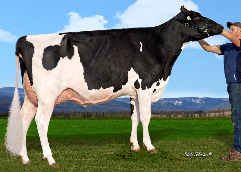 DAM: TAPPENVALE DRIFTER MERLOT VG-86-2YR
