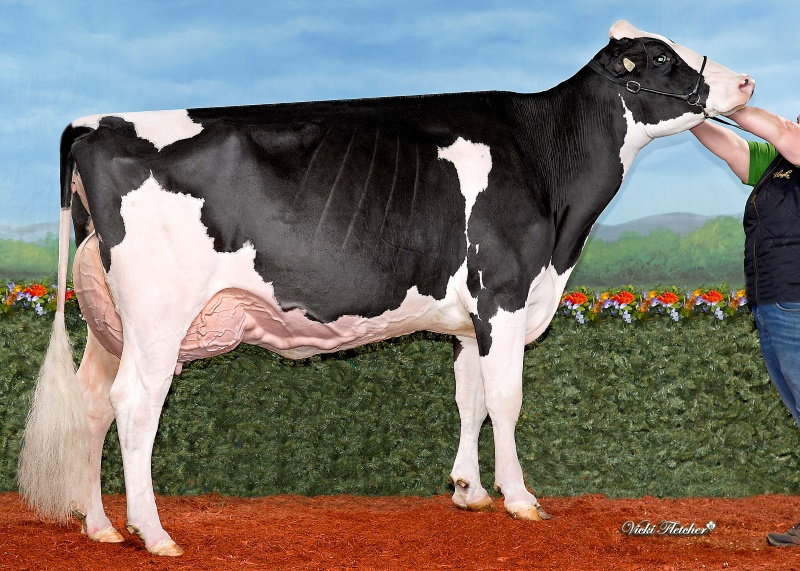 BLONDIN UNSTOPABULL CHEERIOS EX-93-4YR