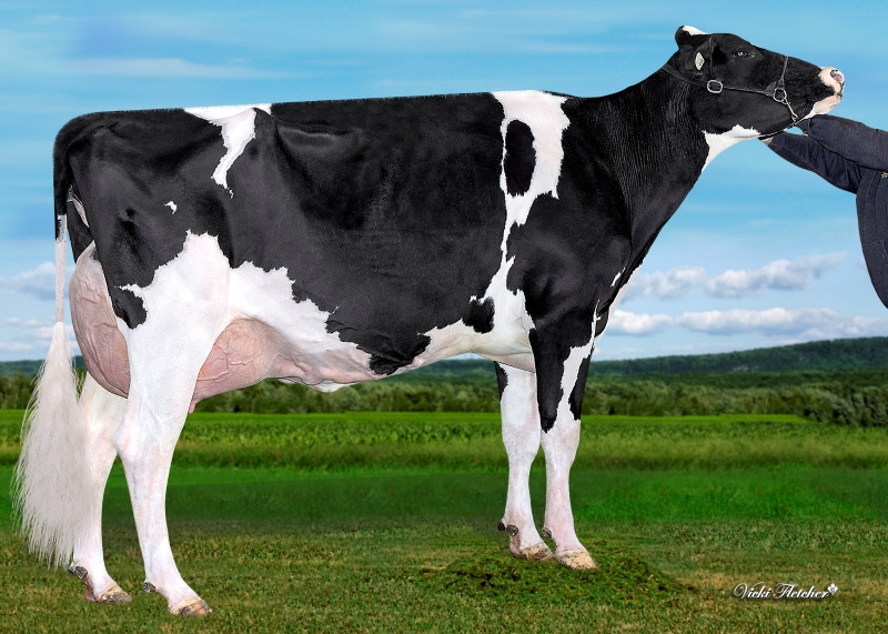 BRADY VIEW THUNDER STORM HALLE EX-93-2E