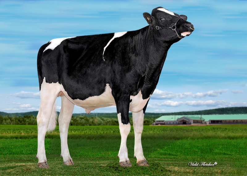 BLONDIN HEARTBREAKER